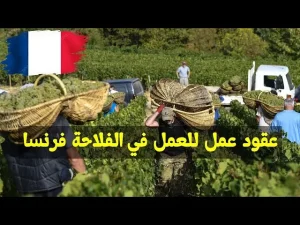 فرنسا تطلب 80 ألف عامل للفلاحة بعقود رسمية 2026